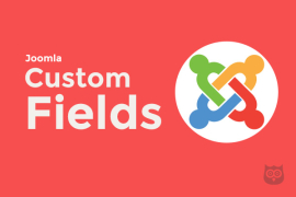 10 Joomla Custom Fields You Need the Most