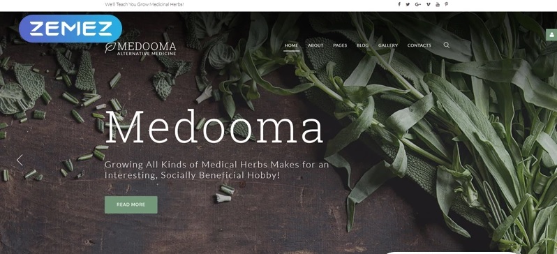 medooma-alternative-medicine-joomla-template_65764-original.jpg